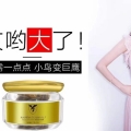 玄蜂一片霸屏